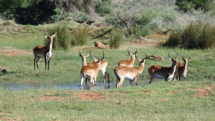 Commercial Property for Sale in Barkly West Rural Northern Cape